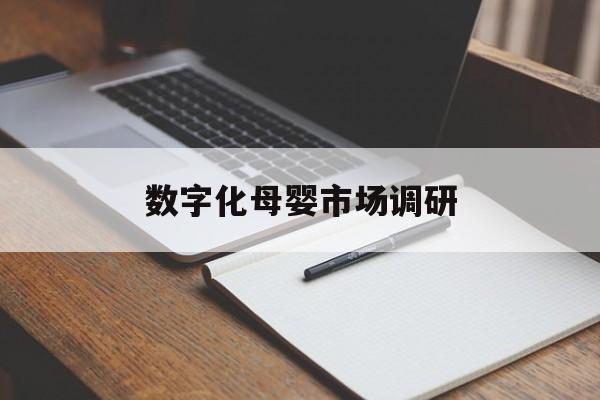 宿迁市数字化母婴市场调研(数字化母婴市场调研报告)
